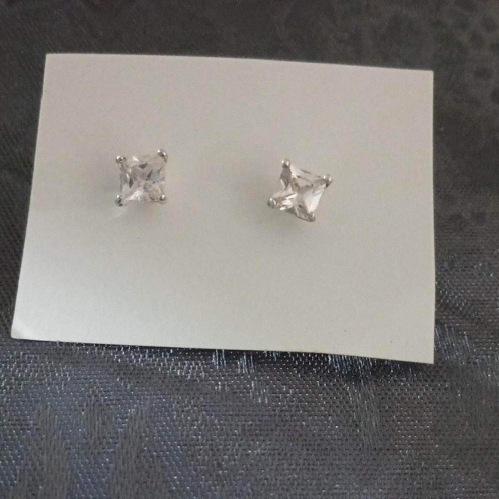 Elegant Silver Stud Earrings